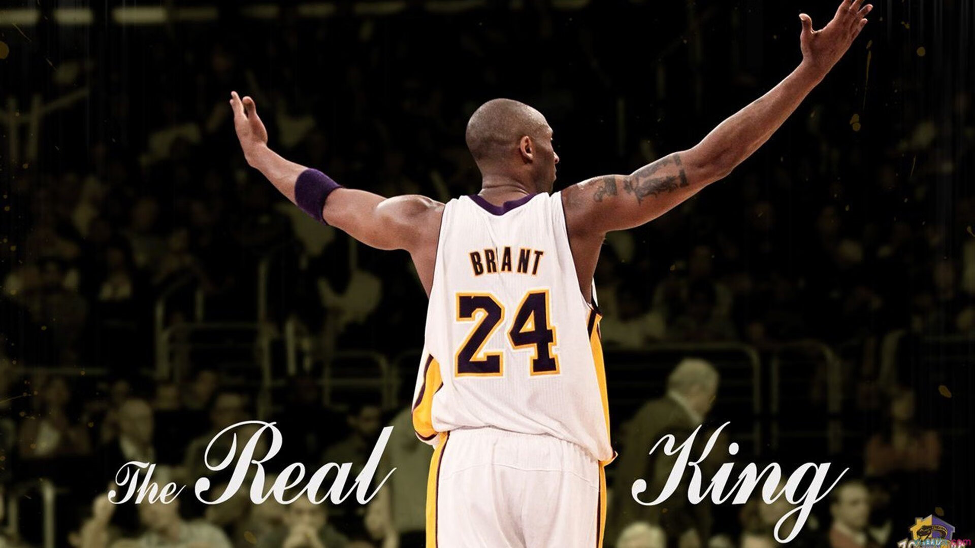 乐鱼体育安卓版-Faker操作风格成为赛场标杆，faker打法风格